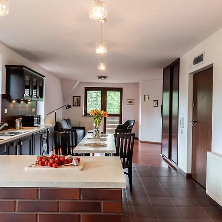 Apartament Udanypobyt Na Tetmajera *